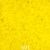 Lemon Yellon(601)
